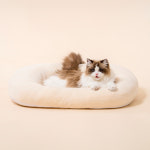 DUIT 두잇 강아지 고양이 방석 포근한 알러지케어 웜앤코지 M 웜앤코지 쿠션 M