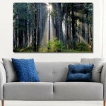 셀러허브숲속에 스며든 빛 사진 그림 액자 80호