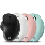 QSENN QSENN 무선 버티컬 마우스 M2800 인체공학
