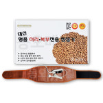 대신전자 대신전자 대신 허리 복부 전기 온열 찜질기 찜질팩 찜질벨트