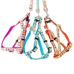 강아지 조이 가슴줄 리드줄 세트 색상랜덤 1P