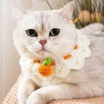 오렌지 볼 뜨개 진주 레이스 강아지 고양이 스카프 넥 카라 케이프