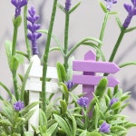 식물 이름표 10P