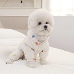 풀프린트 곰 강아지 옷 반려동물 네 발 코튼 코트 테디 따뜻한 겨울 복장 슈나우저 다운 재킷 달콤한
