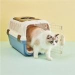 릿첼 강아지 고양이 이동장 이동가방 캐리어 캠핑 켄넬 더블도어 코발트블루