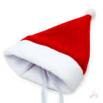 동물용 산타모자