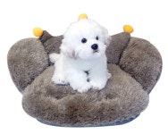 강아지 크라운 베드 쿠션 방석 반려 애견 강이지