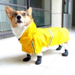 강아지 레인코트 M 1P 장마 방수 야간 산책 비옷