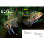 아쿠아라이프 2023년 12월호 물만들기 자유자재