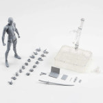 컬러 인체모형 액션피규어 여 남 인체피규어