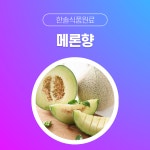 한솔식품원료 합성향료 메론향 10kg 치즈향 10kg 오일타입 1개