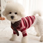 스타일멍멍 투톤골지 강아지티셔츠 강아지옷