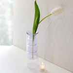 벨라 버블 이중유리 화병 6type 벨라3단