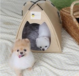텐트 도그포즈 강아지 포켓 소형 원터치 캠프