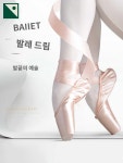 성인 발레슈즈 전문 고급 토슈즈