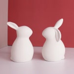 행운 가득 토끼 오브제 2P 세트 개업 집들이 선물 번영 풍요 우정 인테리어 소품 젤센 J 1848315