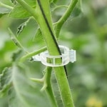 식물클립 10P세트 식물고정 지지대 나뭇가지 고정 10p