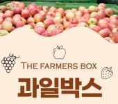 과일상자 플라스틱 이사바구니 운반 사각 농산물박스