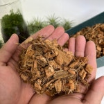 코코칩 20L 코코넛바크 멀칭재 분갈이흙 배수층 화분 코코넛껍질 대용량 대성식물