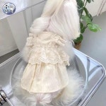 반려 고양이 천사 장례 강아지수의