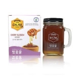 강원6차산업 영월 강원허니원영농조합 강원도를 담은 벌꿀 벚꽃꿀 500g 핸들컵