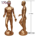 해성씨엔피 | 해성 침구동인 표준 전신 인형
