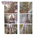해성씨엔피 | 해성 침구동인 표준 전신 인형