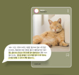 애구애구 애구애구 반려동물 체중계