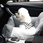 반려 동물 강아지 댕댕이 고양이 자동차 쿠션 카시트 차콜