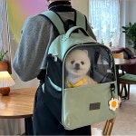 패리스독 데이지펫백