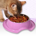 강아지 밥그릇 식기 깨끗한 애견 반려견 식기