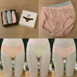 비너스 비너스 3종세트 편안하고 위생적인 면100 파스텔 칼라 데일리 순면 여성 요일 팬티 선물 90 VPT6948