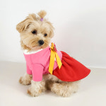 그루밍독 강아지 비비드 나비 장식 한복 L 원피스