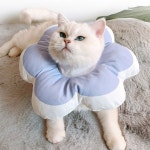 반려동물 키티요요 쿠션 넥카라 L 1P 수술 보호 카라