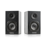 캔스톤 캔스톤 MX1