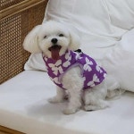 강아지 리본 패턴 캐주얼 외출 하네스 고리 패딩 조끼 겨울옷 애견 의류 따뜻한 강아지옷