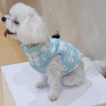 강아지 반려견 부드러운 패딩 조끼 스타일 쇼핑몰 S