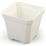 미니 사각 화분 다육이 플라스틱화분 대 - 투명