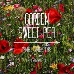 가든 스윗 피 타입 향기 영국 CPL FO 프래그런스 오일