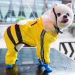 강아지 밤 야광띠 시야 방해 없는 투명 후드 우비 옷 S