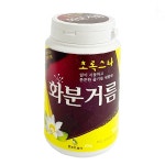 초록스타 화분거름 300g 알갱이 유기질 화분비료 흙