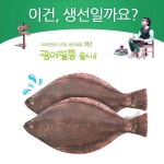 특허 광어 우럭 감성돔 필통 물고기 생선