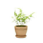 테라원 내열토 수제 토분 시루형