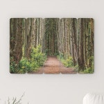 꾸밈 eh850-우드패널액자57 숲으로가는길