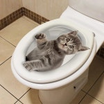 귀여운 나비 고양이 변기 스티커 욕실 장식 벽 화장실 A