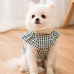 애견 귀여운 데일리 사계절 원피스 스커트 옷 코디