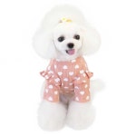 강아지 레이스 디자인 골지 데일리 산책 티셔츠 의류 S