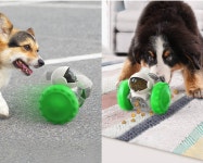 간식 사료 텀블러 장난감 반려묘 동물