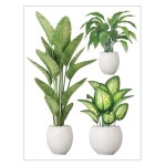 스티커몰 데코스티커 식물테라피 GDT-8109