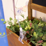 아트사인 아트사인 - 집게 대 50봉 반달집게 쇼클립 G9026